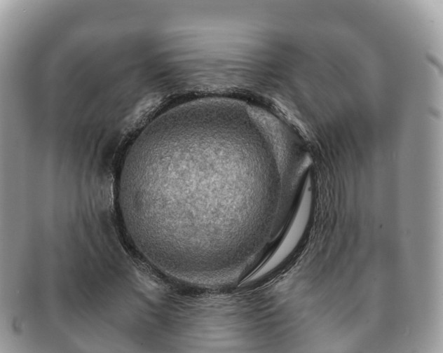 X0000091180685200708161518