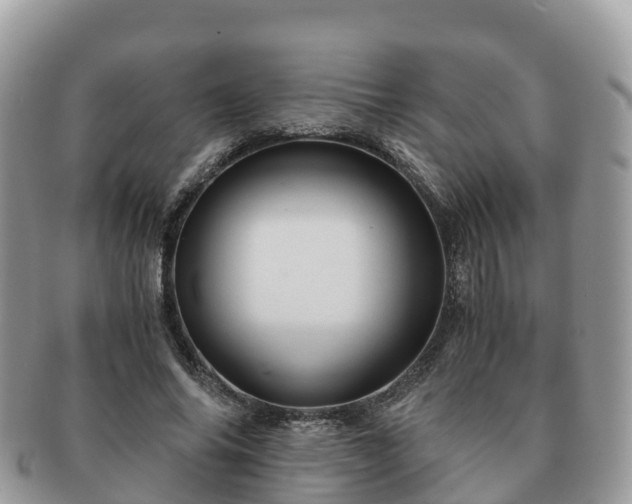 X0000091180686200708161518