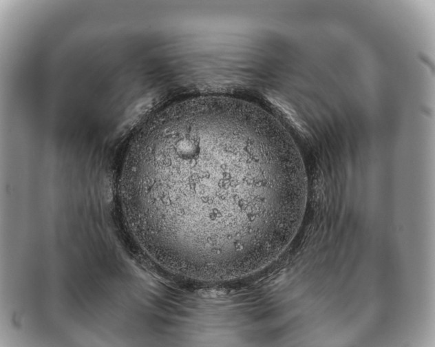 X0000091180687200708161518