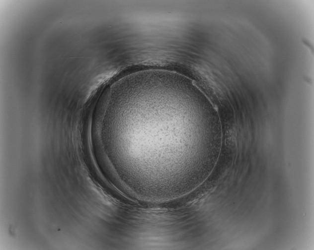 X0000091180688200708161518