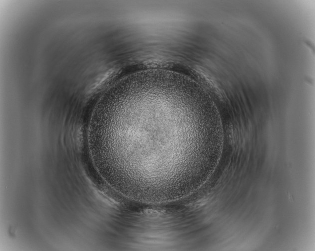 X0000091180690200708161518