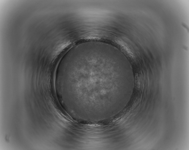 X0000091180692200708161518