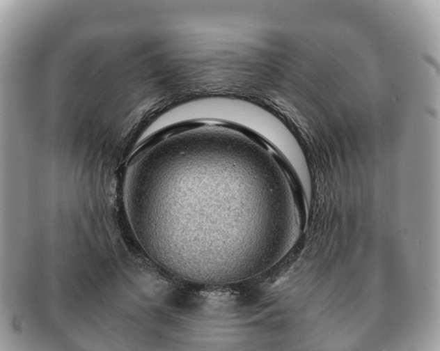 X0000091180693200708161518