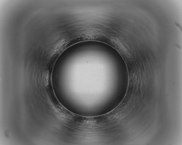 X0000091180694200708161518