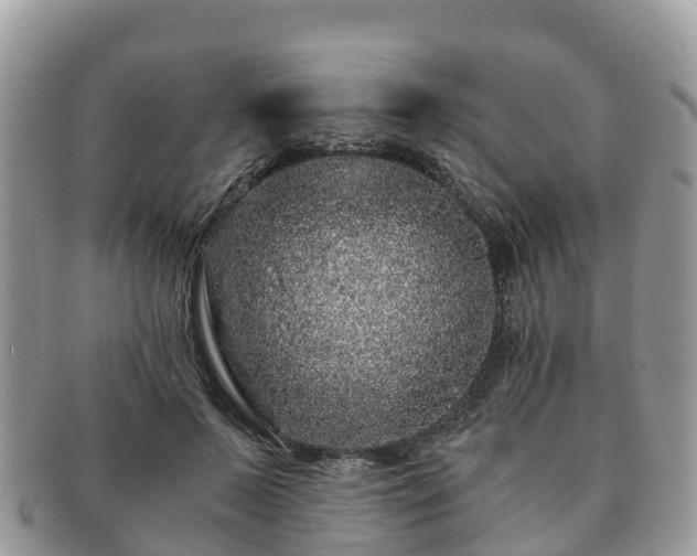 X0000091180695200708161518