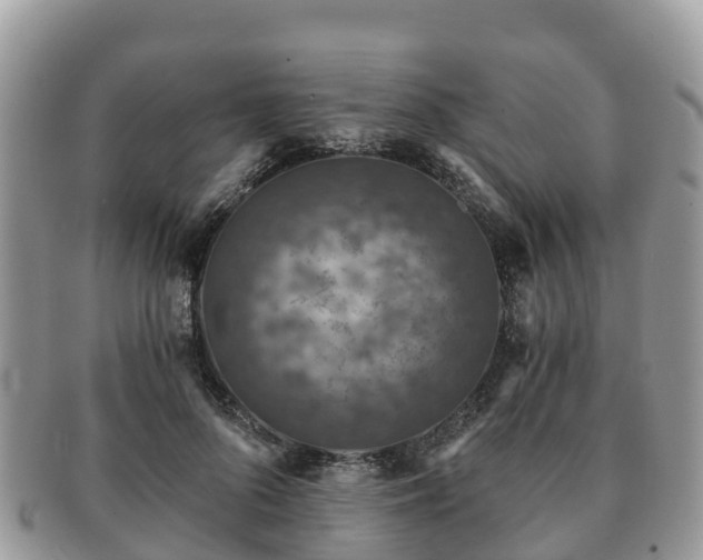 X0000091180696200708161518