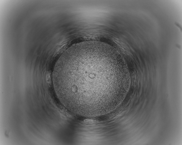 X0000091180699200708161518