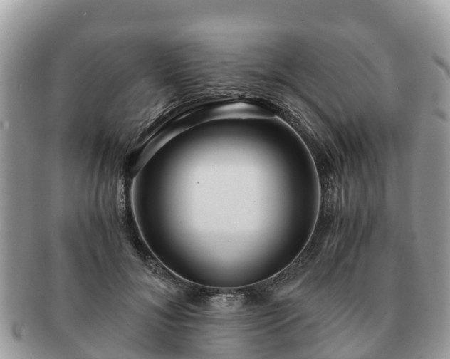 X0000091180700200708161518