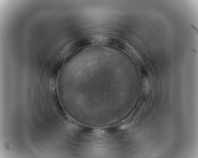 X0000091180701200708161518