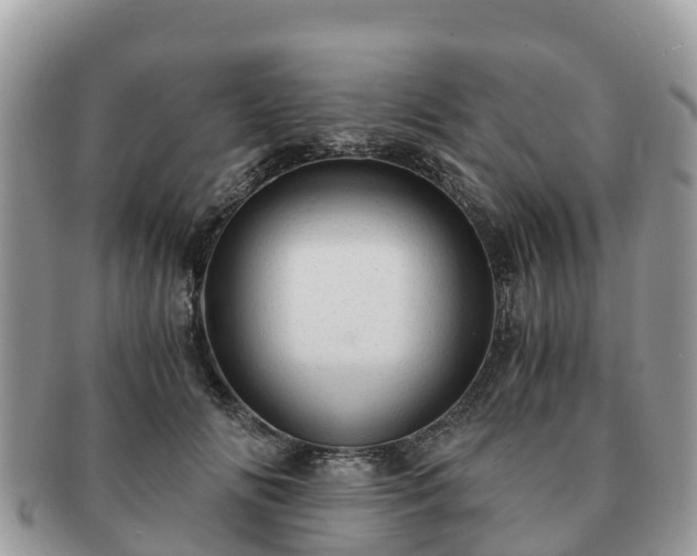 X0000091180702200708161518