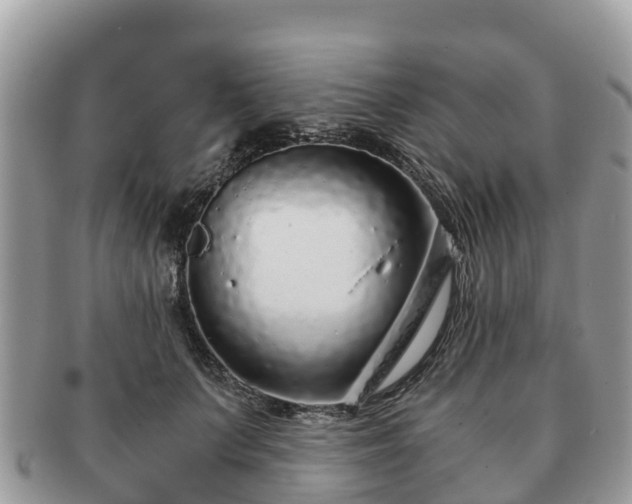 X0000091180703200708161518