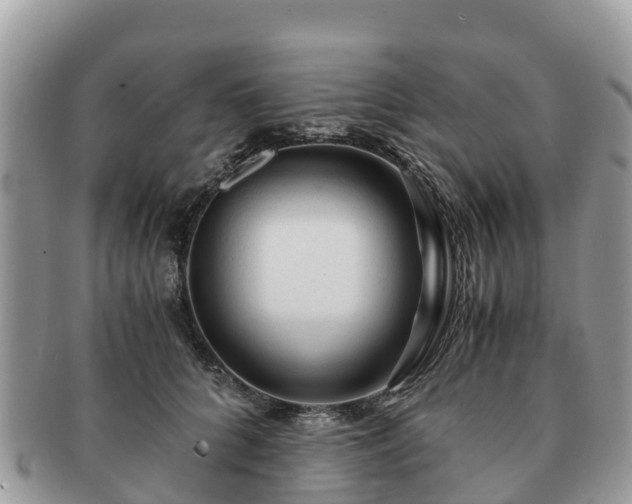 X0000091180704200708161518