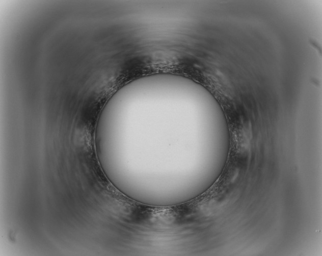 X0000091180705200708161518