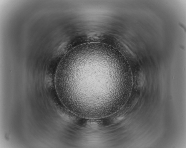 X0000091180706200708161518