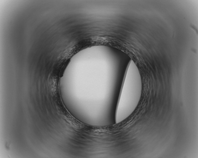 X0000091180708200708161518