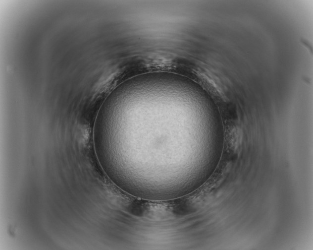 X0000091180709200708161518