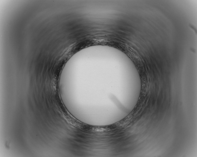 X0000091180710200708161518