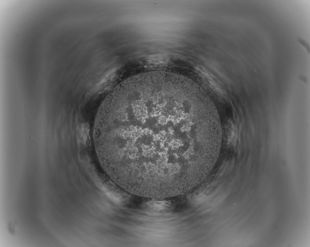 X0000091180711200708161518