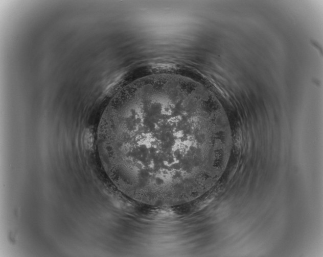X0000091180715200708161518