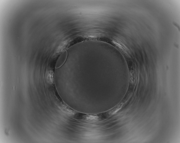 X0000091180718200708161518