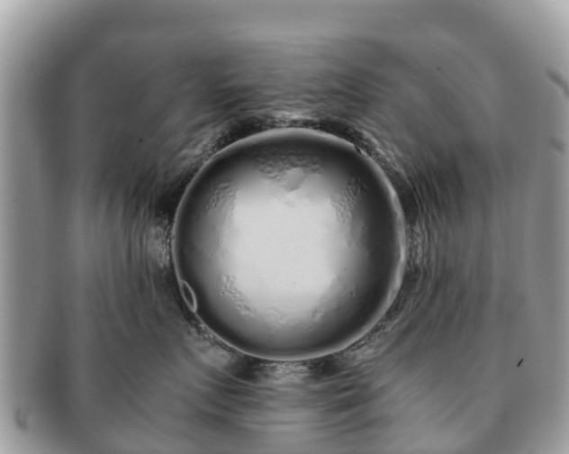 X0000091180719200708161518