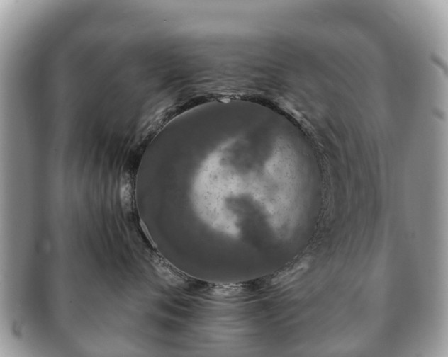 X0000091180720200708161518