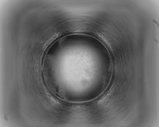 X0000091180721200708161517