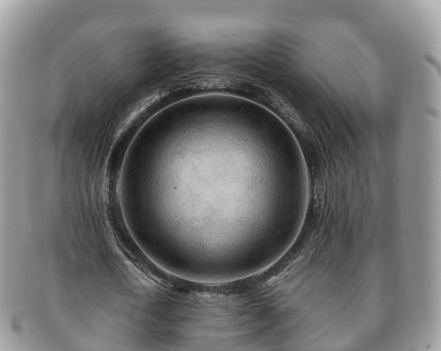 X0000091180722200708161517