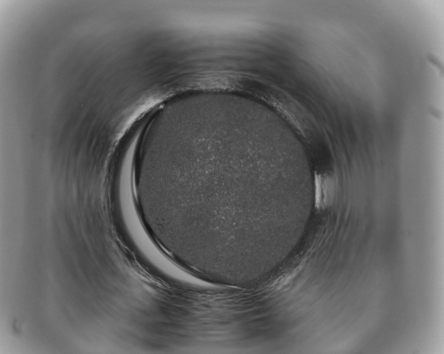 X0000091180723200708161517