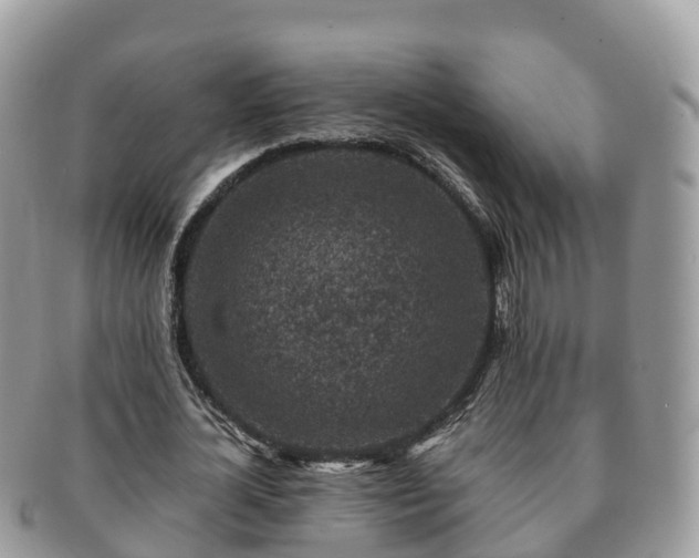X0000091180724200708161517