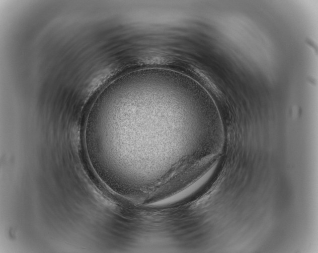 X0000091180725200708161517