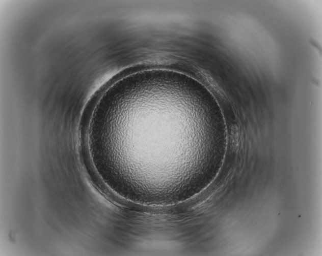 X0000091180726200708161517