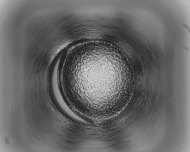 X0000091180727200708161517
