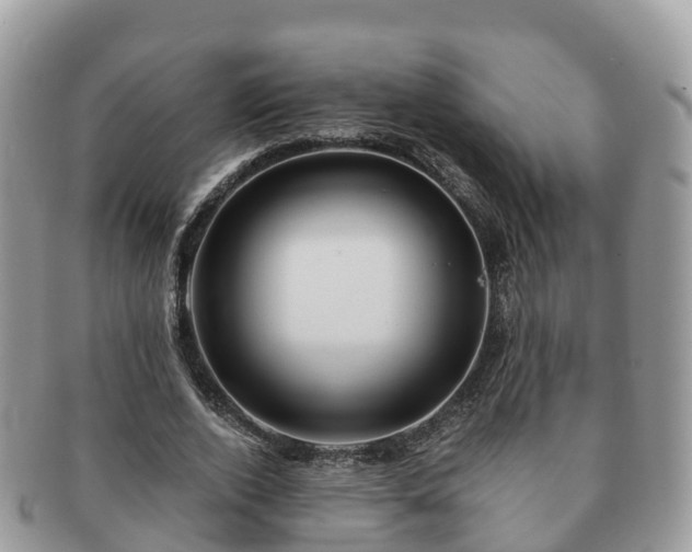 X0000091180728200708161517