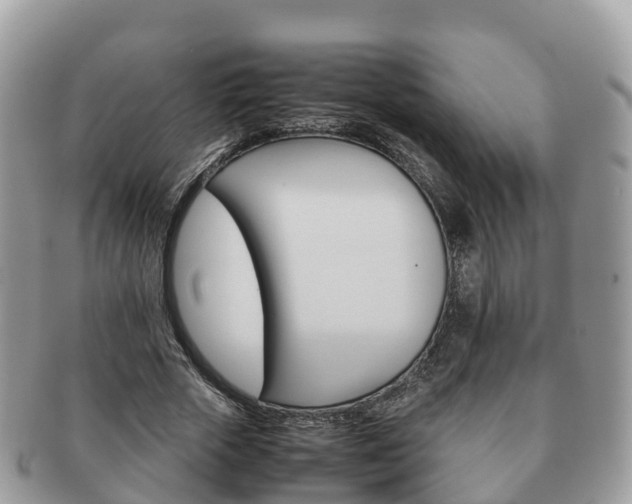 X0000091180729200708161517