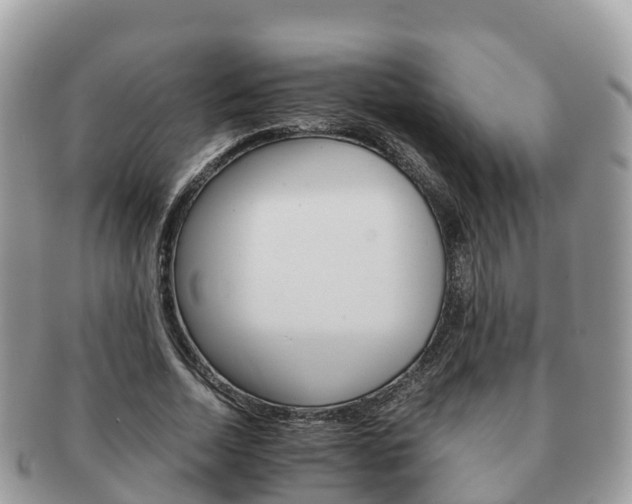 X0000091180730200708161517