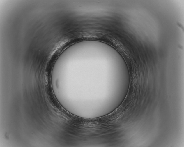 X0000091180731200708161517