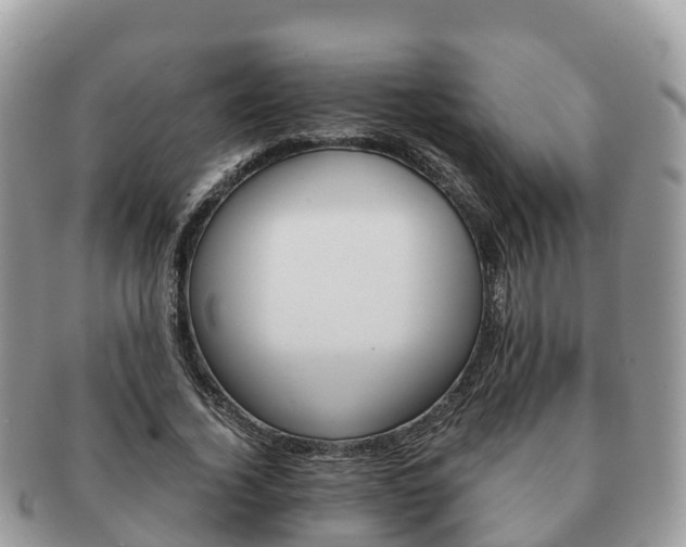 X0000091180732200708161517