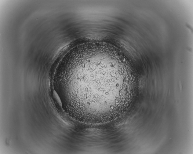 X0000091180733200708161517