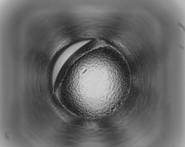 X0000091180735200708161517