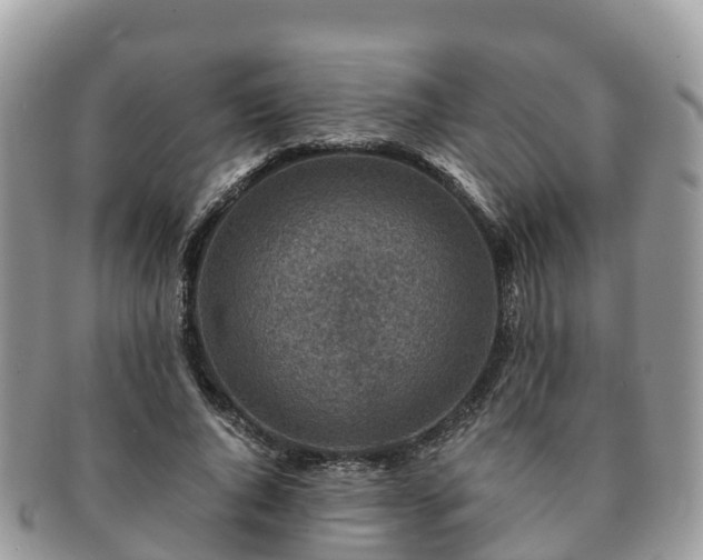 X0000091180736200708161517