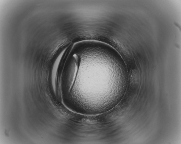 X0000091180739200708161517