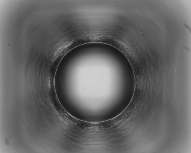 X0000091180740200708161517