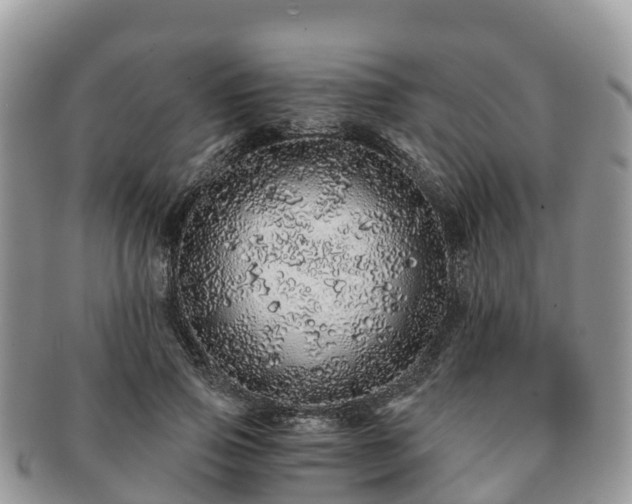X0000091180741200708161517