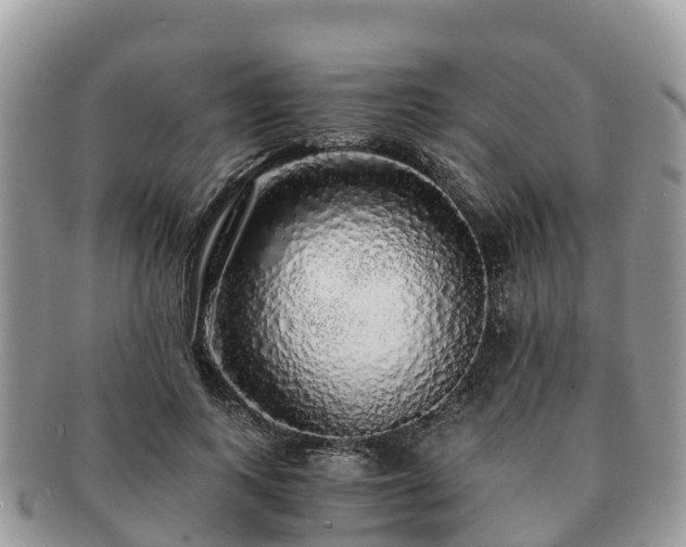 X0000091180743200708161517