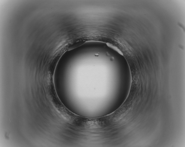 X0000091180744200708161517