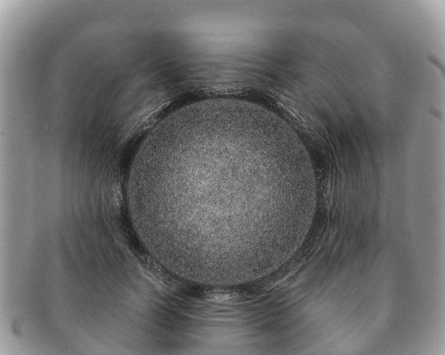 X0000091180746200708161517
