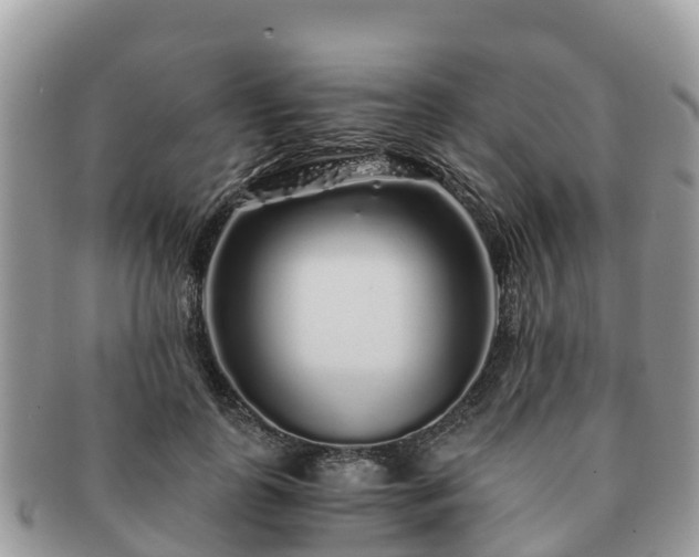 X0000091180747200708161517