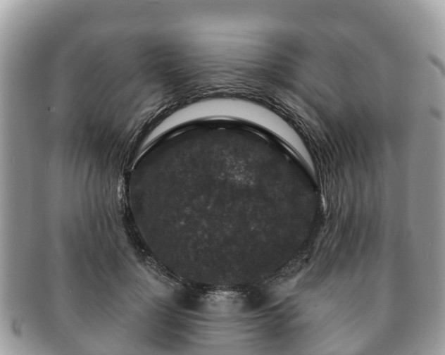 X0000091180748200708161517