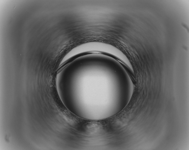 X0000091180750200708161517